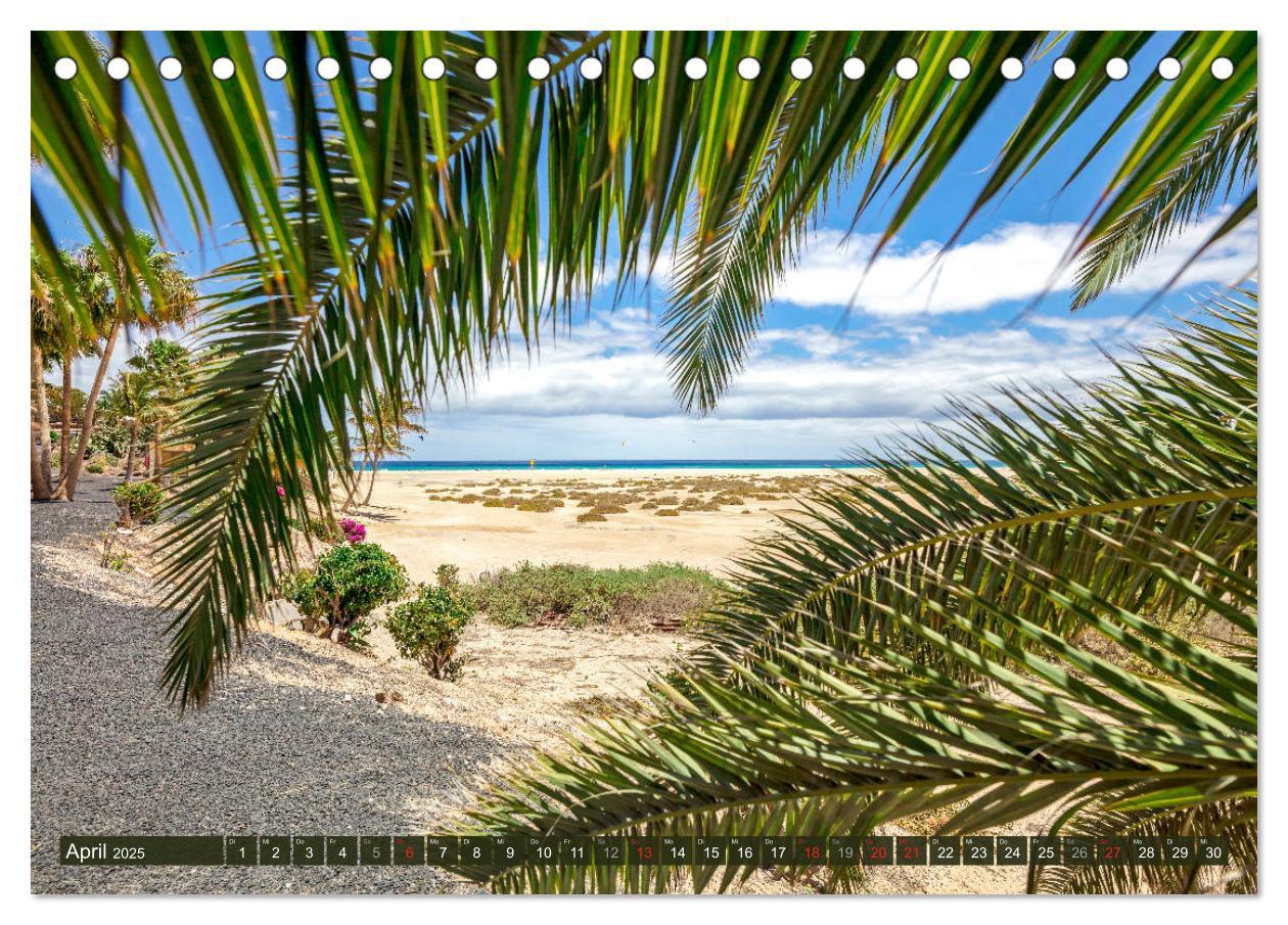 Bild: 9783435257768 | FUERTEVENTURA Paradiesische Impressionen der Insel (Tischkalender...