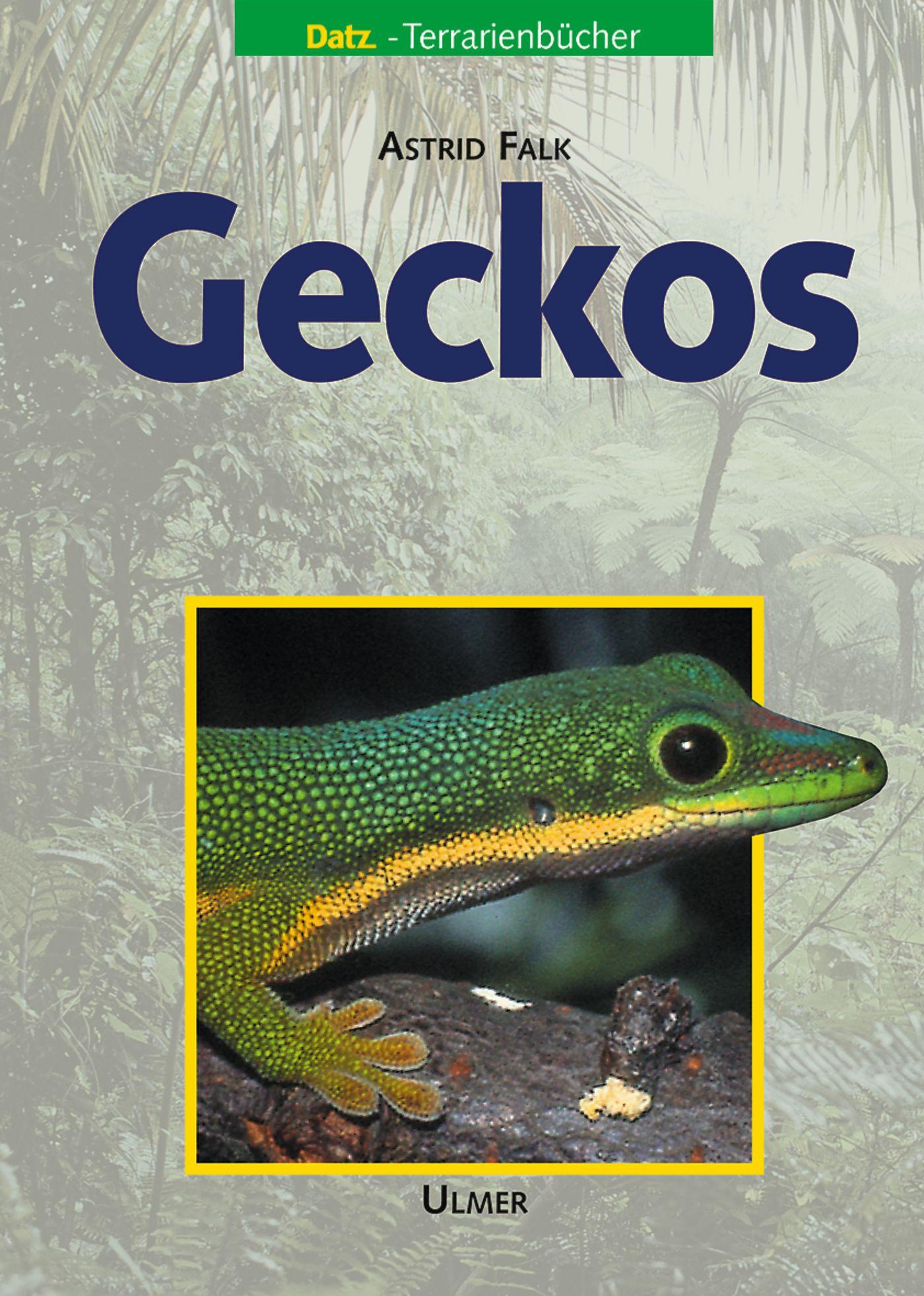 Cover: 9783800139330 | Geckos | Astrid Falk | Buch | DATZ-Terrarienbücher | 95 S. | Deutsch