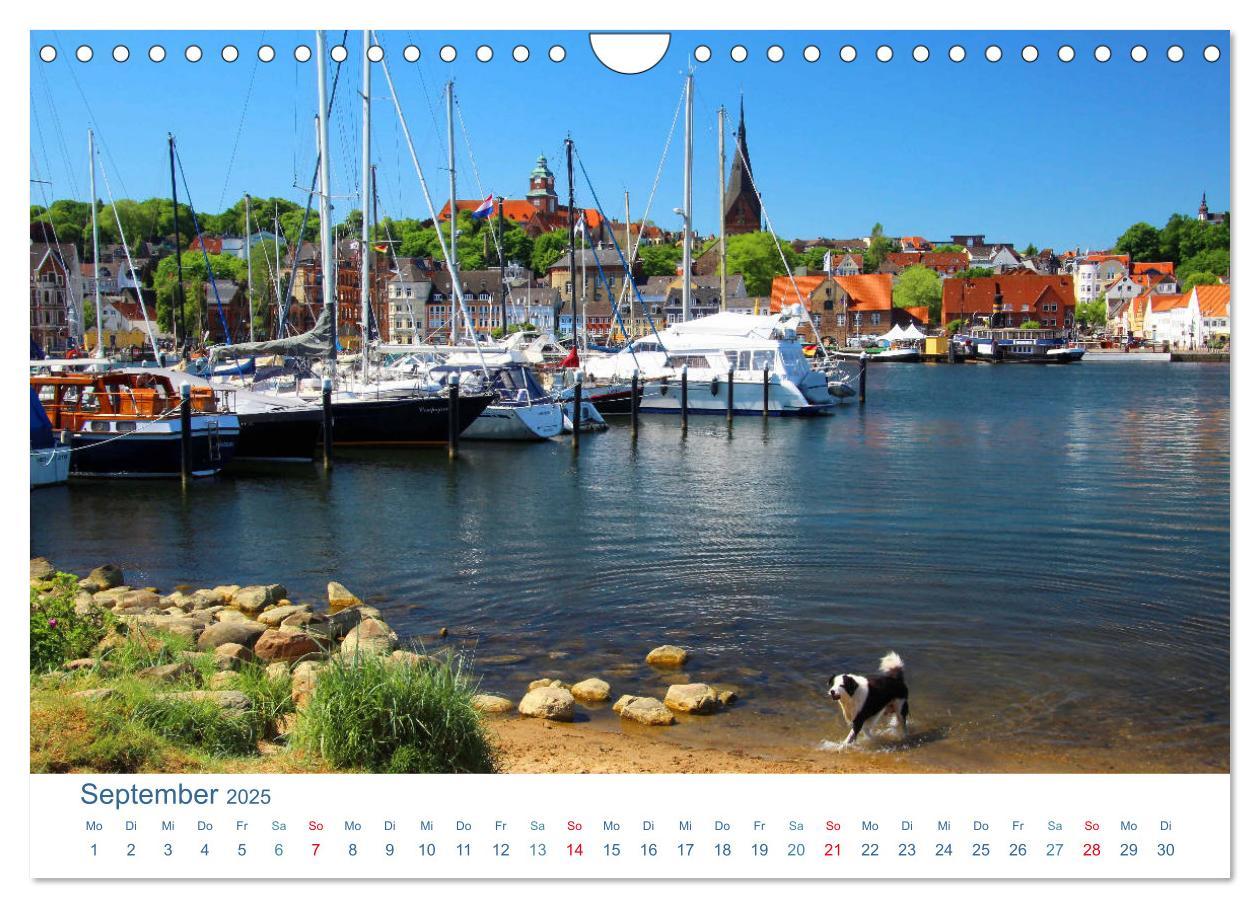 Bild: 9783435201198 | Flensburg 2025. Impressionen rund um den Hafen (Wandkalender 2025...