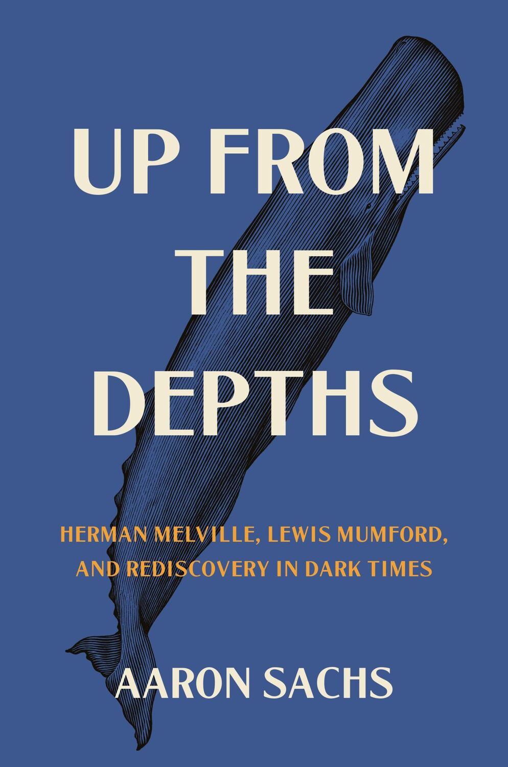 Cover: 9780691215419 | Up from the Depths | Aaron Sachs | Buch | Gebunden | Englisch | 2022