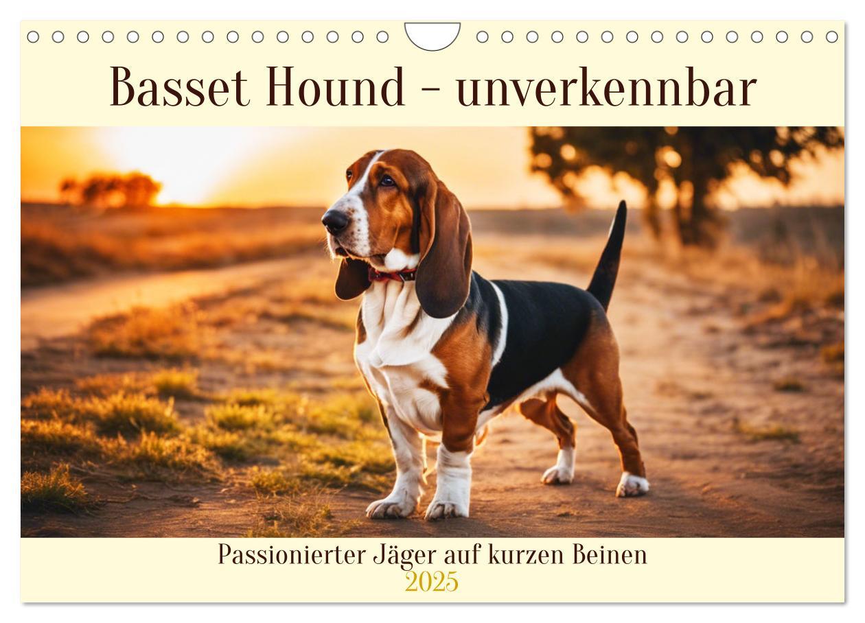 Cover: 9783457054208 | Basset Hound - unverkennbar (Wandkalender 2025 DIN A4 quer),...