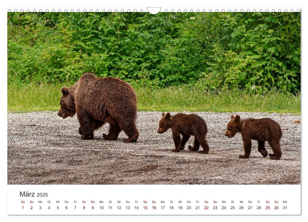 Bild: 9783383798481 | Siebenbürgen und das Fagaras Gebirge (Wandkalender 2025 DIN A3...