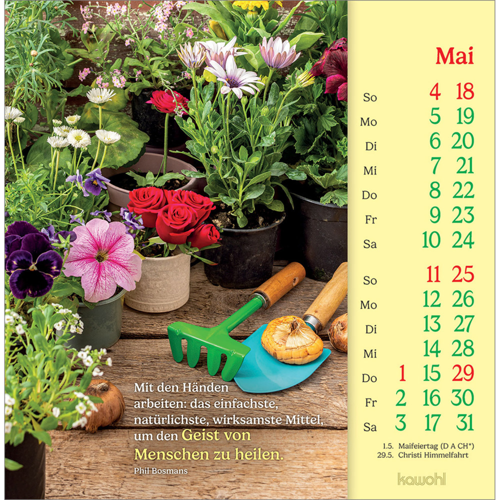 Bild: 9783754838051 | Phil Bosmans Postkartenkalender 2025 | Phil Bosmans | Kalender | 13 S.