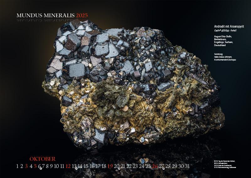 Bild: 9783957561398 | MUNDUS MINERALIS 2025 | Die Welt der Mineralien | Jörg Neubert | 2025