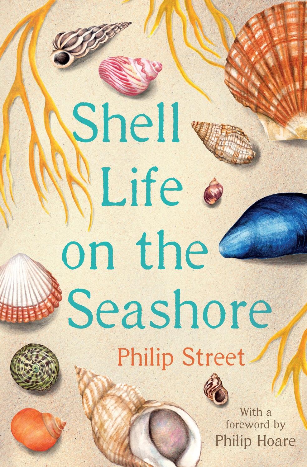 Cover: 9780571354450 | Shell Life on the Seashore | Philip Street | Taschenbuch | Englisch