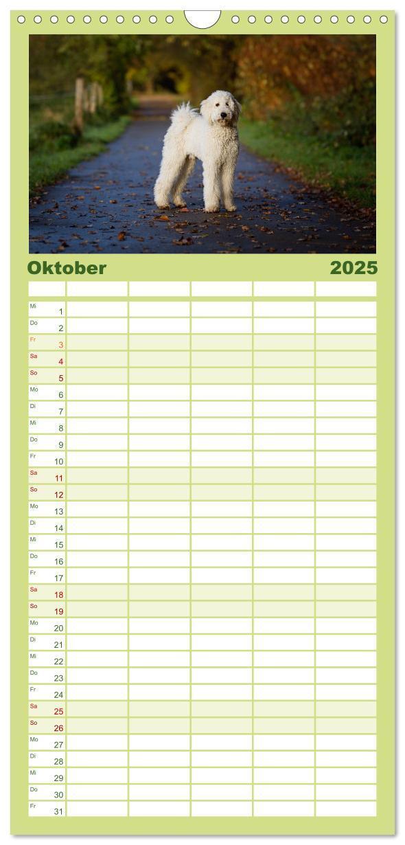 Bild: 9783457125427 | Familienplaner 2025 - Pudel mit 5 Spalten (Wandkalender, 21 x 45...