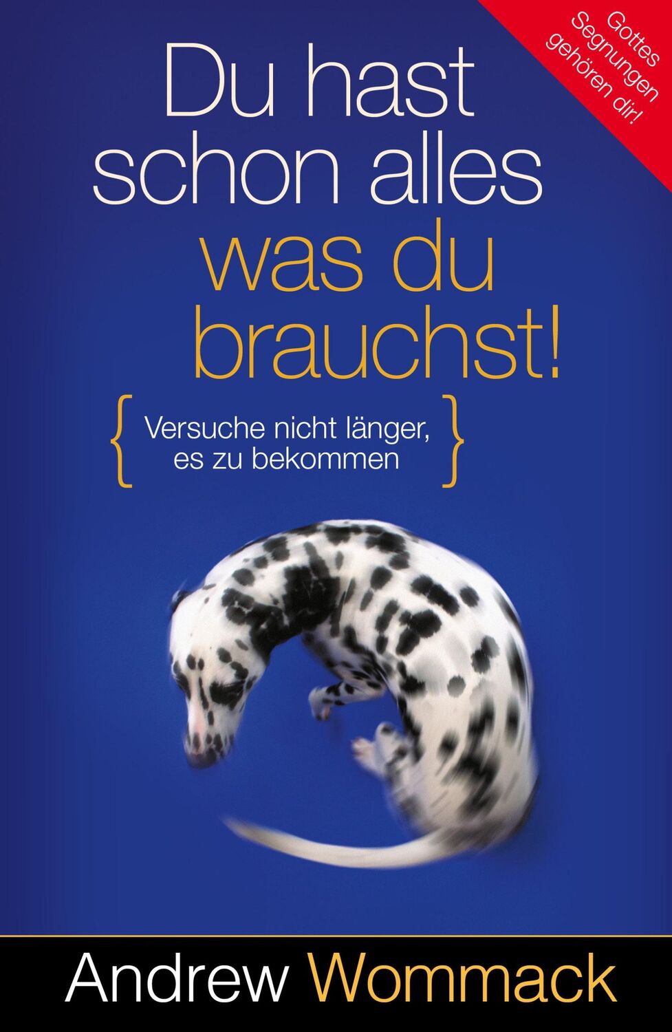 Cover: 9783959332200 | Du hast schon alles, was du brauchst! | Andrew Wommack | Taschenbuch