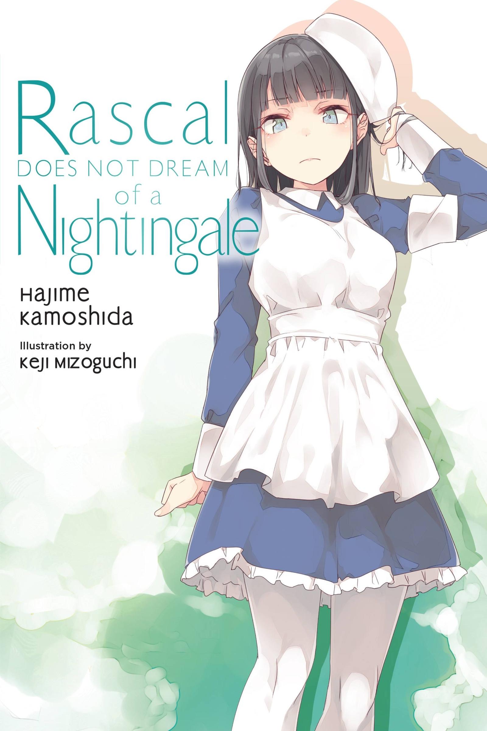 Cover: 9781975343507 | Rascal Does Not Dream of a Nightingale (Light Novel) | Kamoshida