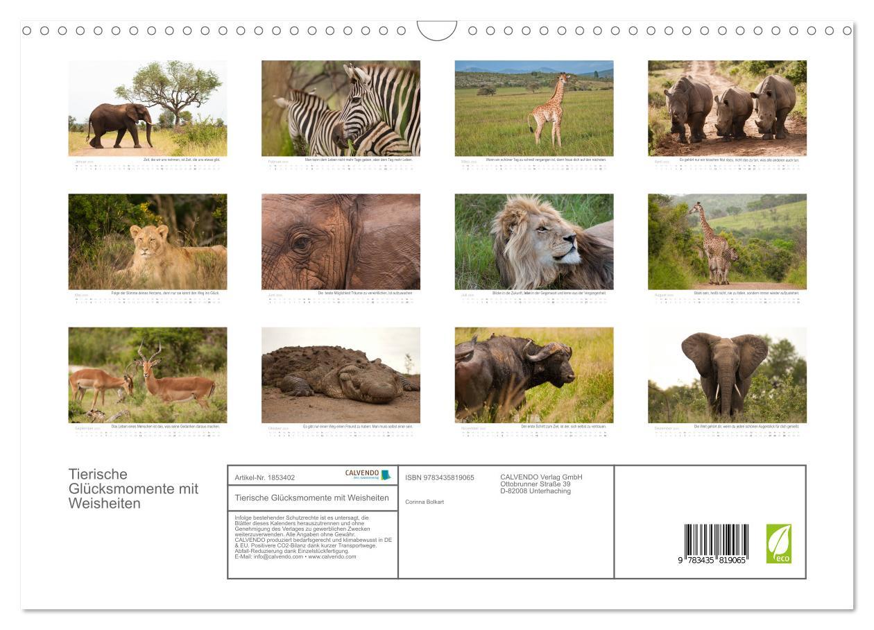 Bild: 9783435819065 | Tierische Glücksmomente mit Weisheiten (Wandkalender 2025 DIN A3...