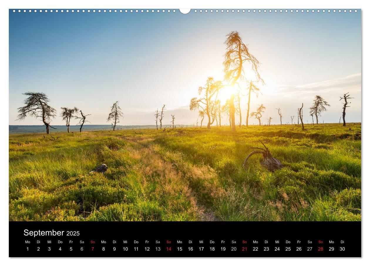 Bild: 9783435557288 | HOHES VENN - Einblicke in ein Hochmoor (Wandkalender 2025 DIN A2...