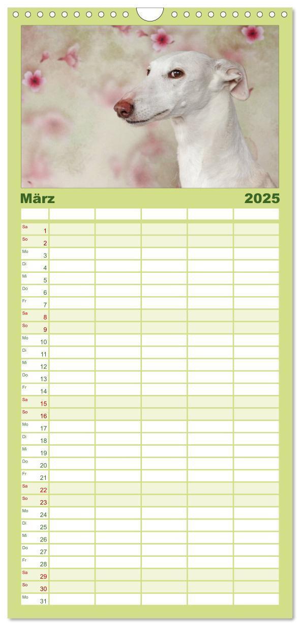 Bild: 9783457112526 | Familienplaner 2025 - Der Windhundekalender mit 5 Spalten...