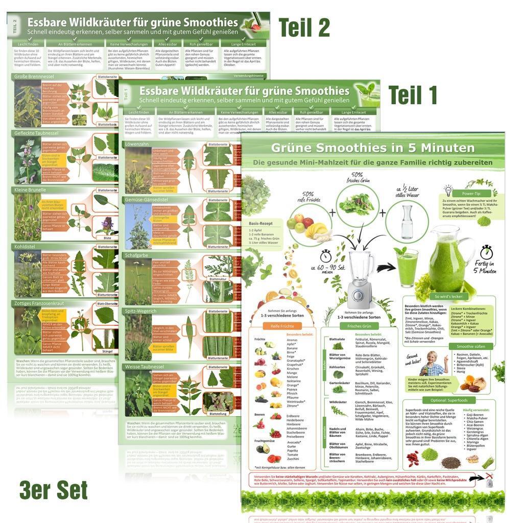 Cover: 641243563336 | [3er Set] Essbare Wildkräuter für Grüne Smoothies (DINA4) Teil 1 &amp;...