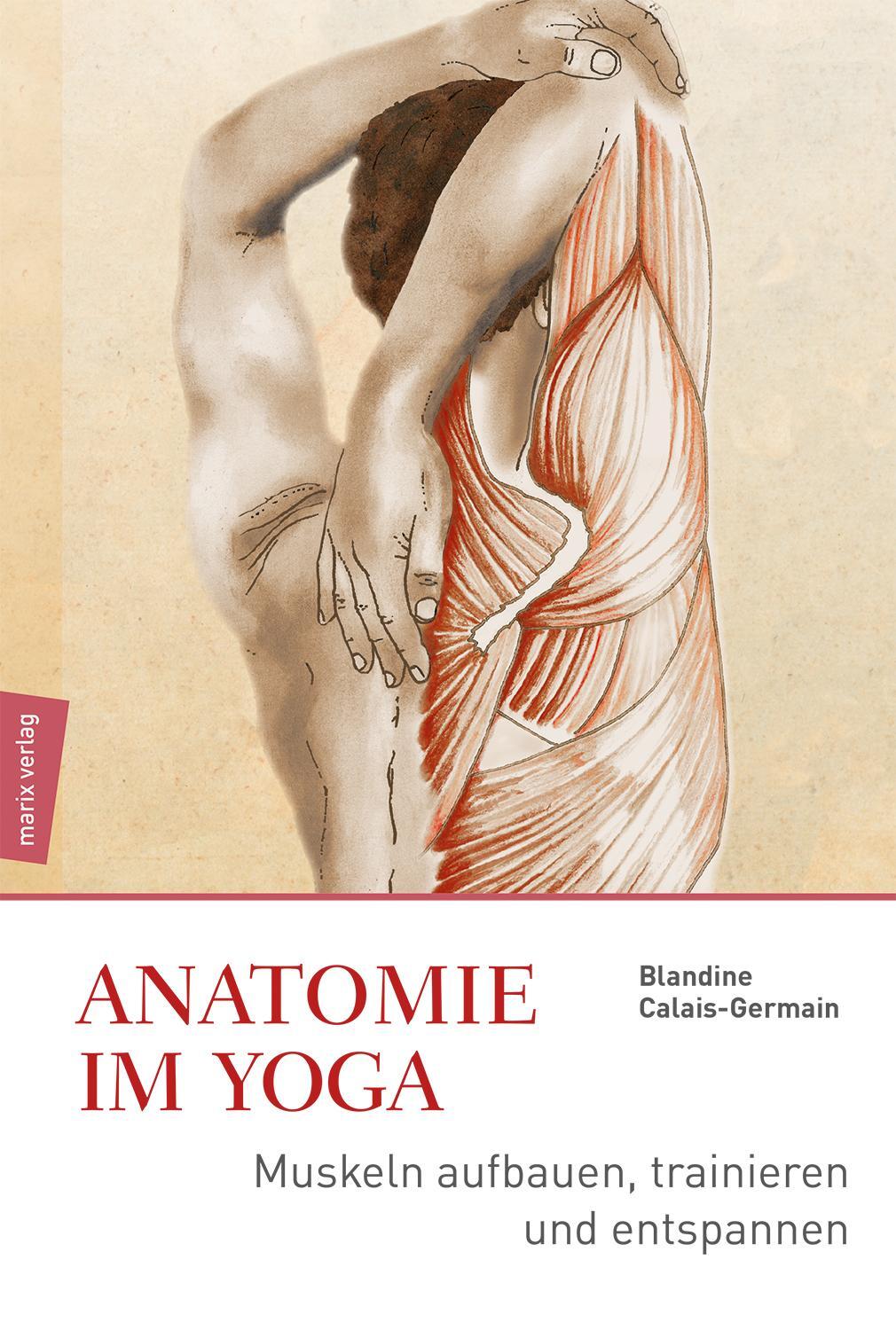 Cover: 9783737411028 | Anatomie im Yoga | Muskeln aufbauen, trainieren und entspannen | Buch