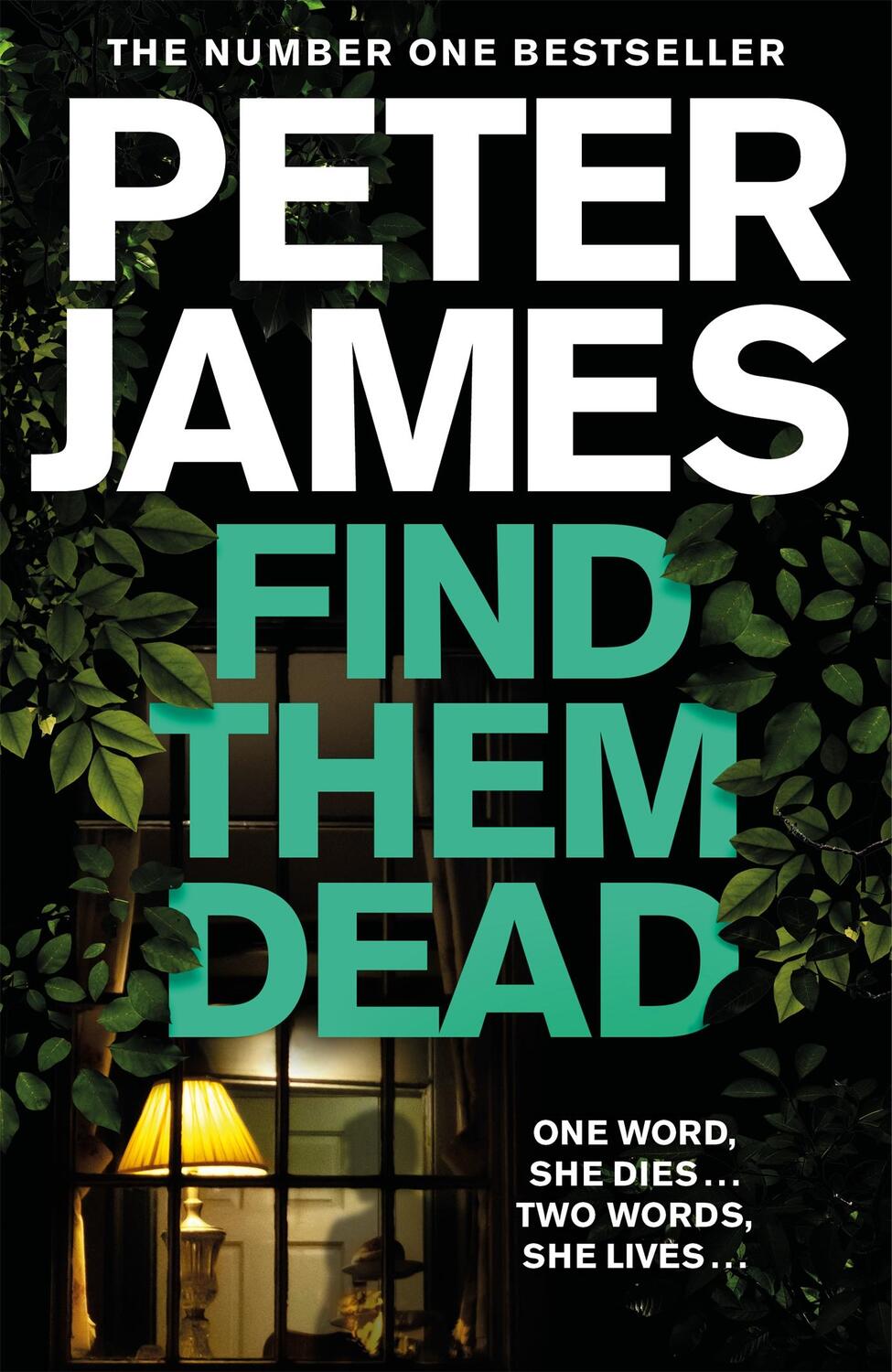 Cover: 9781529004304 | Find Them Dead | Peter James | Buch | Englisch | 2020 | Pan Macmillan