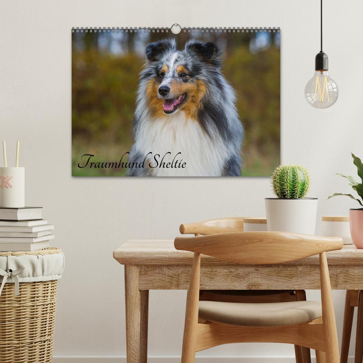 Bild: 9783435569564 | Traumhund Sheltie (Wandkalender 2025 DIN A3 quer), CALVENDO...