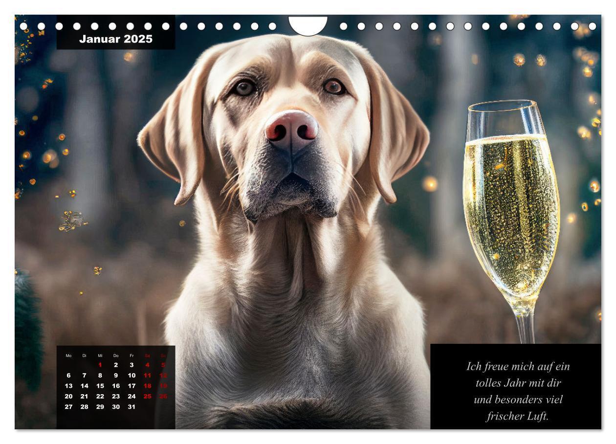 Bild: 9783435368617 | Der witzige Labrador-Kalender (Wandkalender 2025 DIN A4 quer),...