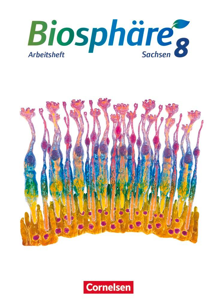 Cover: 9783064202818 | Biosphäre Sekundarstufe I - 8. Schuljahr - Gymnasium Sachsen 2020 -...