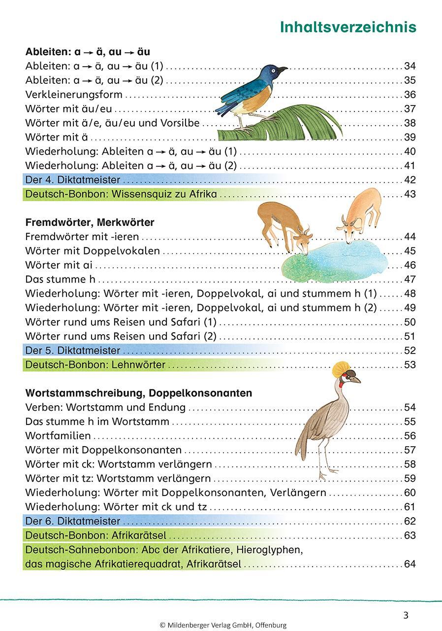 Bild: 9783619441716 | Das Übungsheft Rechtschreiben 4 | Stefanie Drecktrah | Broschüre