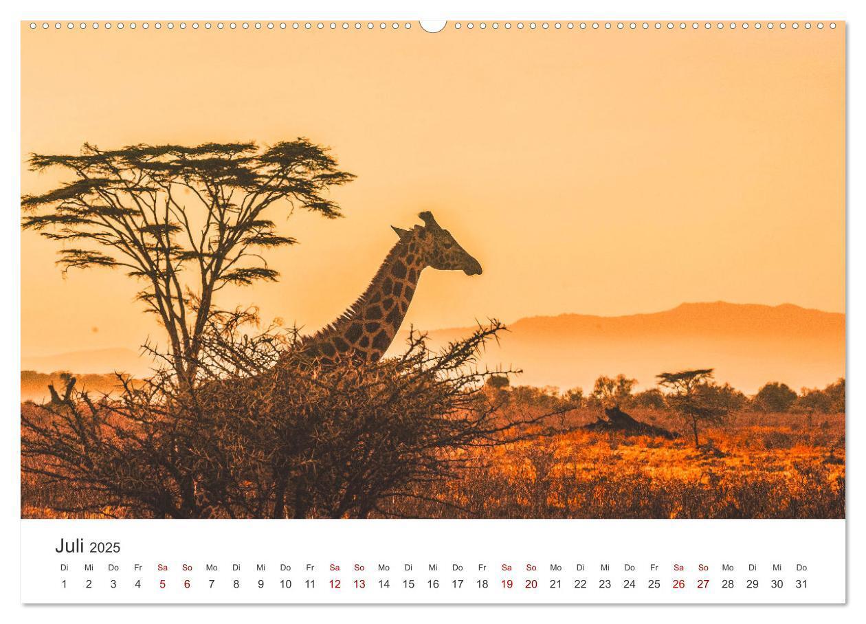 Bild: 9783435002313 | Kenia - Eine Safari durch unberührte Natur. (Wandkalender 2025 DIN...