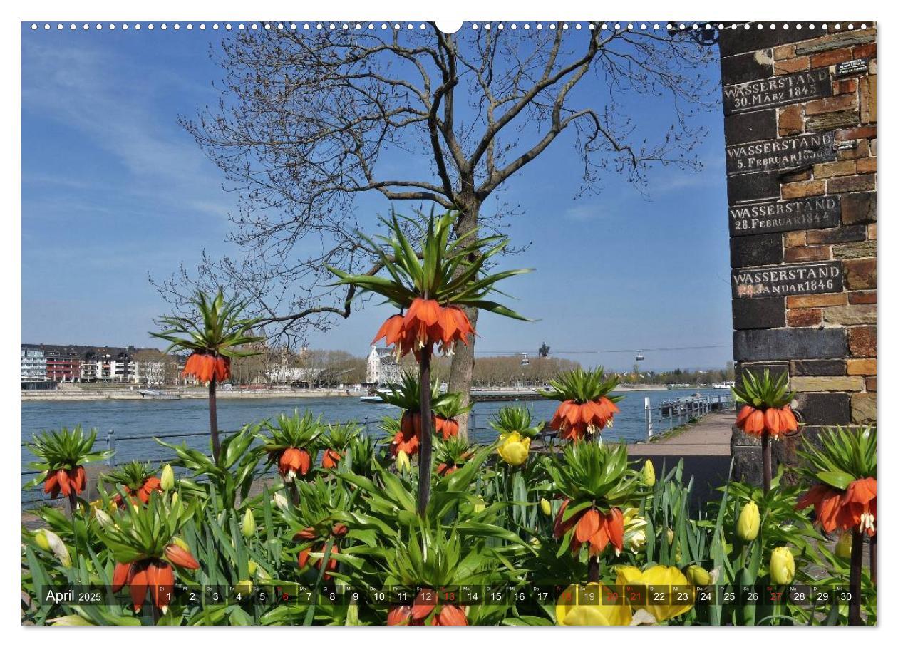 Bild: 9783435609468 | Koblenz Die Stadt am Deutschen Eck (Wandkalender 2025 DIN A2 quer),...