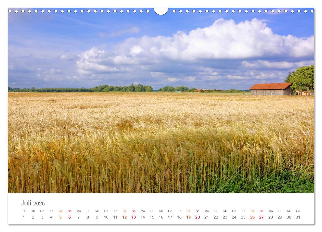 Bild: 9783435300006 | Unterwegs im Heidekreis (Wandkalender 2025 DIN A3 quer), CALVENDO...