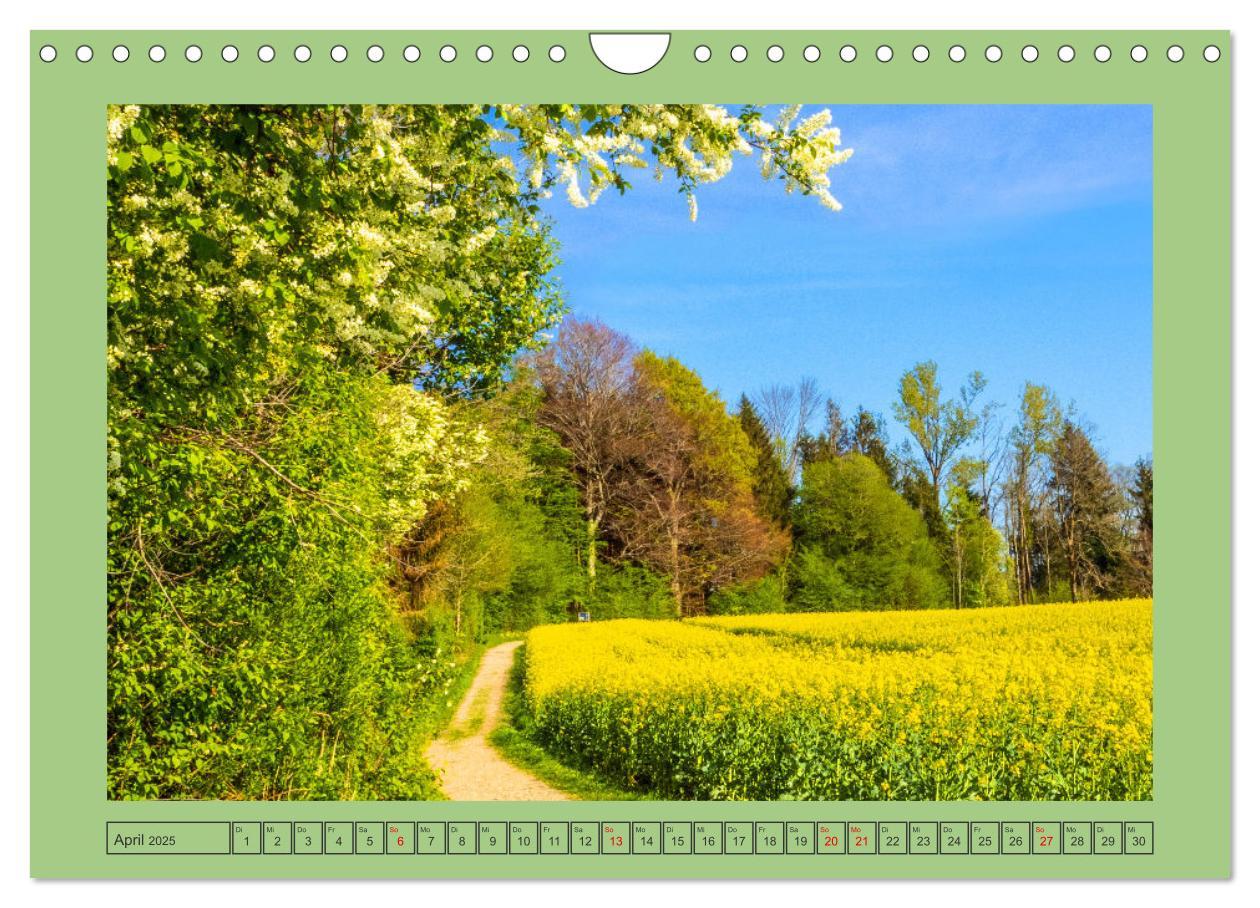 Bild: 9783457133941 | Schöne Wege im Salzburger Land (Wandkalender 2025 DIN A4 quer),...