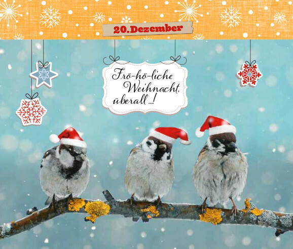 Bild: 9783780613585 | 24 x Tierische Weihnachten | Postkarten-Adventskalender | Lamping