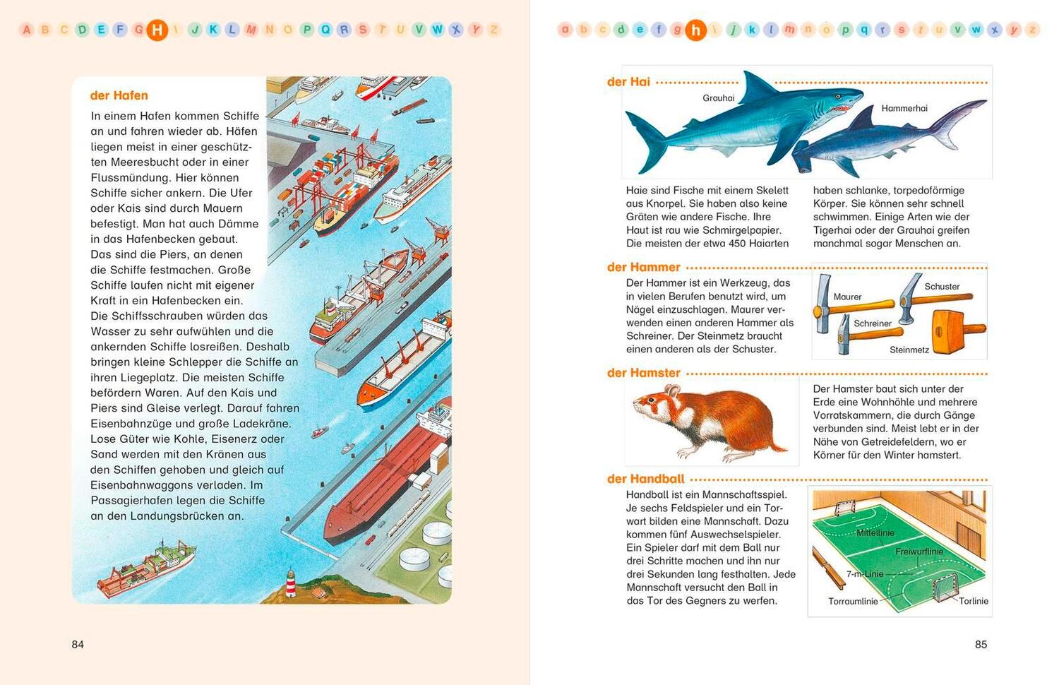 Bild: 9783737357876 | Das große Fischer Kinderlexikon | Achim Bröger | Buch | 344 S. | 2020