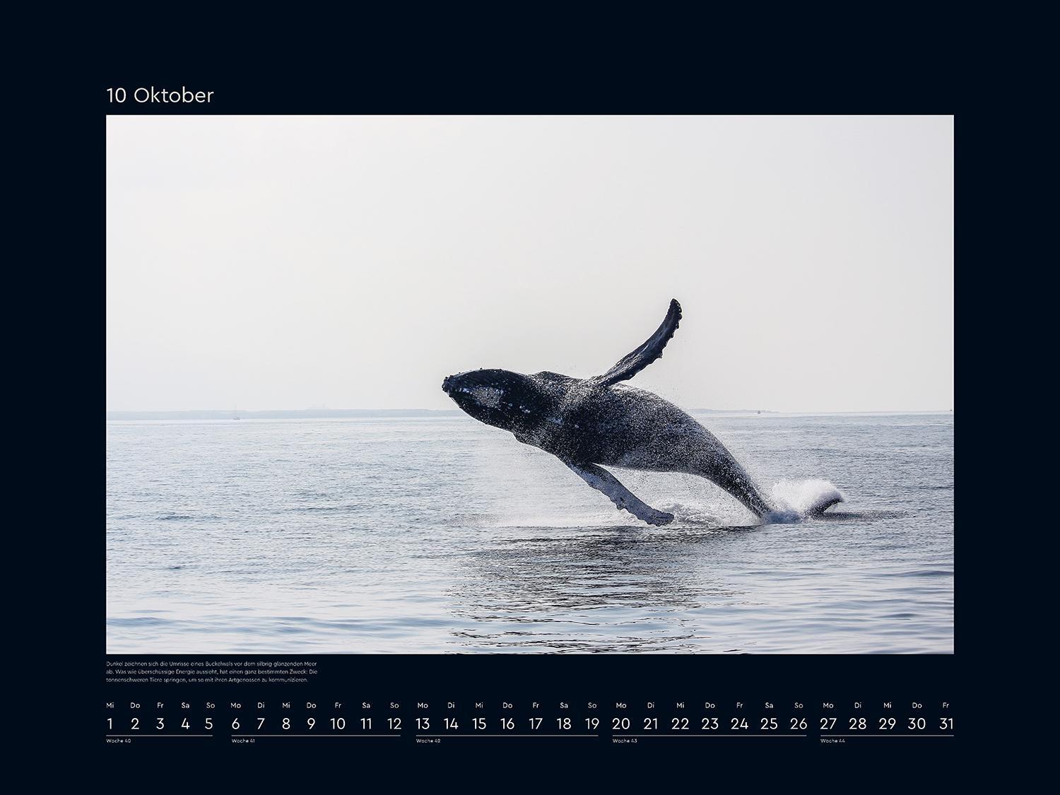 Bild: 9783965913684 | Silber - KUNTH Wandkalender 2025 | Kalender | 14 S. | Deutsch | 2025