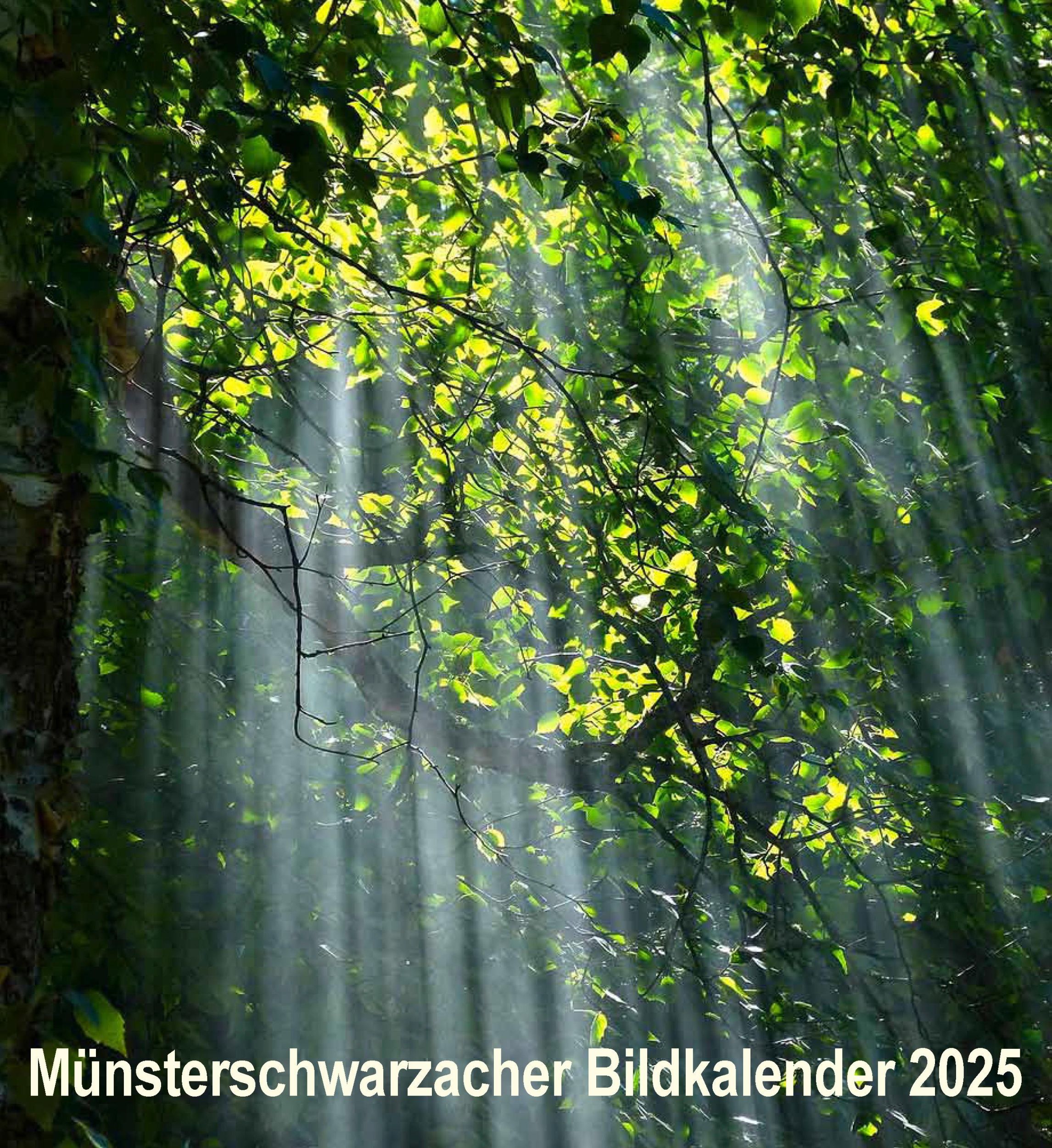 Cover: 9783736505414 | Münsterschwarzacher Bildkalender 2025 | Kalender | 104 S. | Deutsch