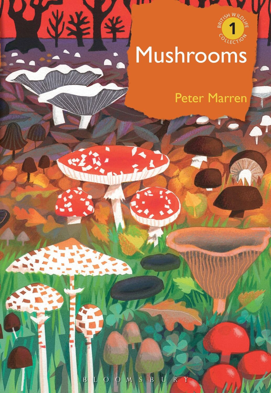 Cover: 9781472971494 | Mushrooms | The natural and human world of British fungi | Marren