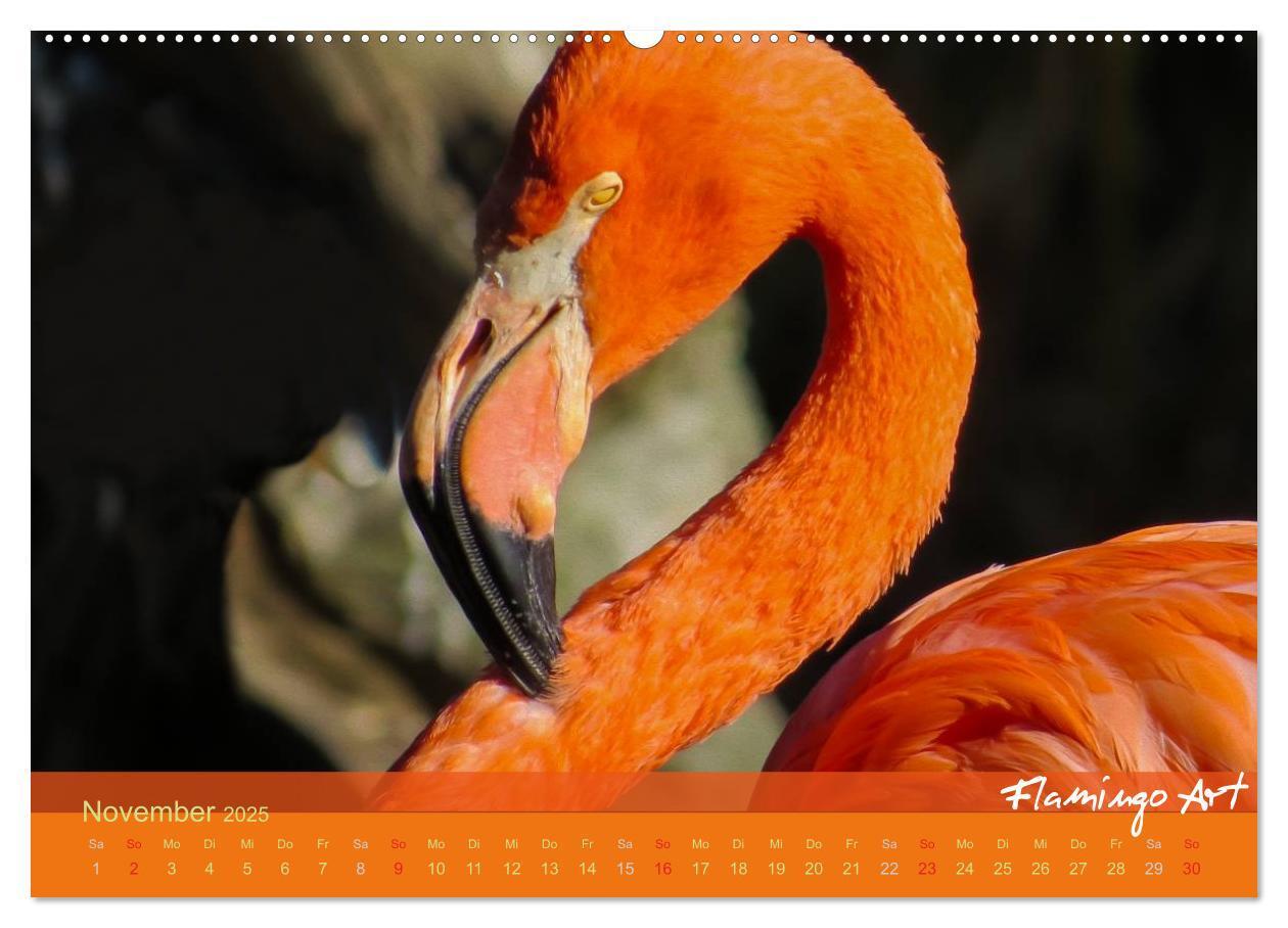 Bild: 9783435818822 | Flamingo Art 2025 (Wandkalender 2025 DIN A2 quer), CALVENDO...