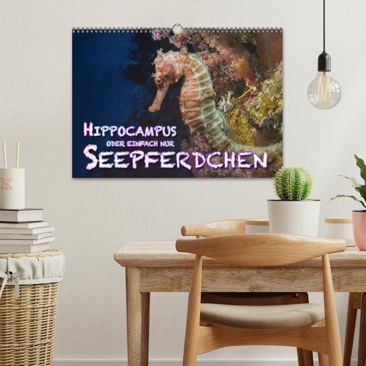 Bild: 9783435503797 | Hippocampus oder einfach nur Seepferdchen (Wandkalender 2025 DIN A3...