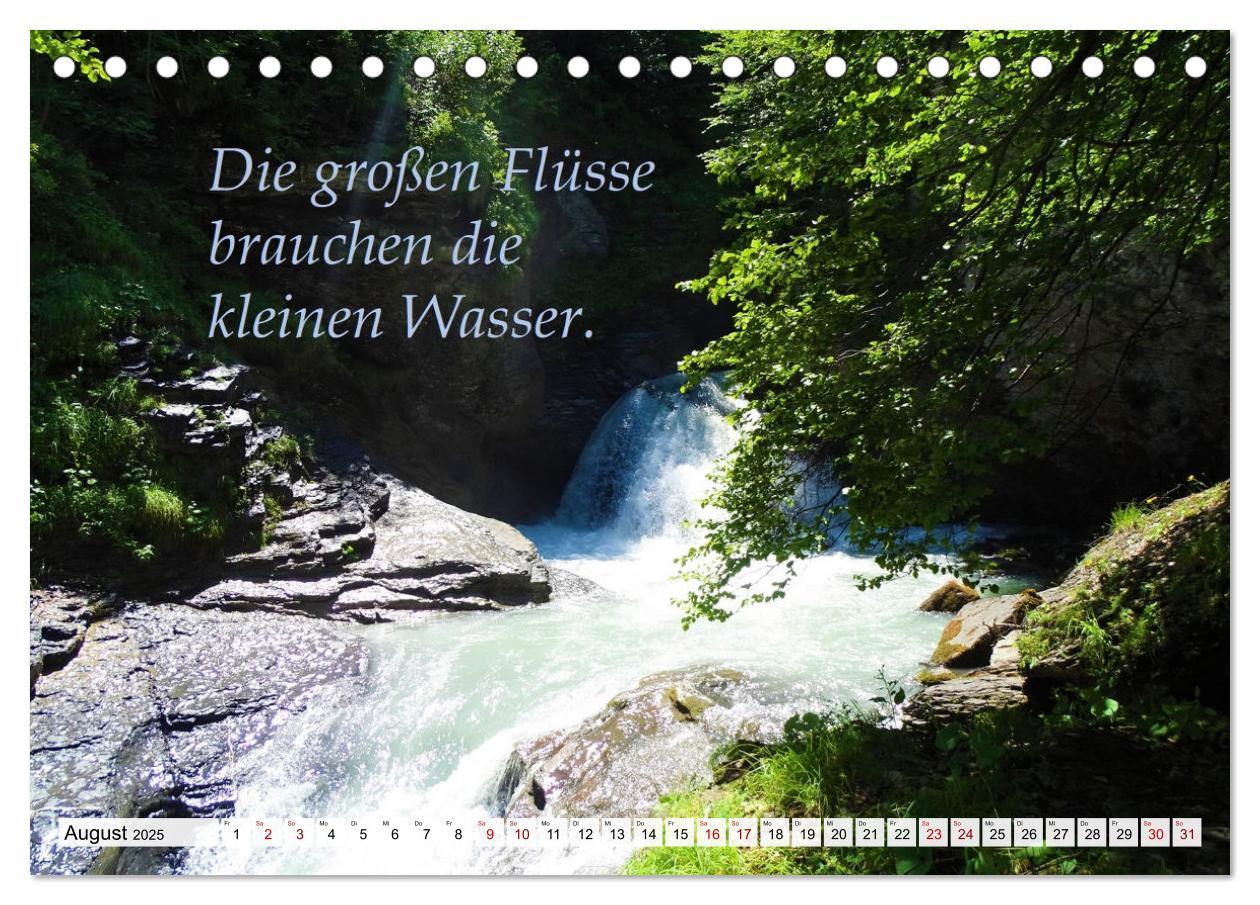 Bild: 9783435101023 | Albert Schweitzer Zitate (Tischkalender 2025 DIN A5 quer), CALVENDO...