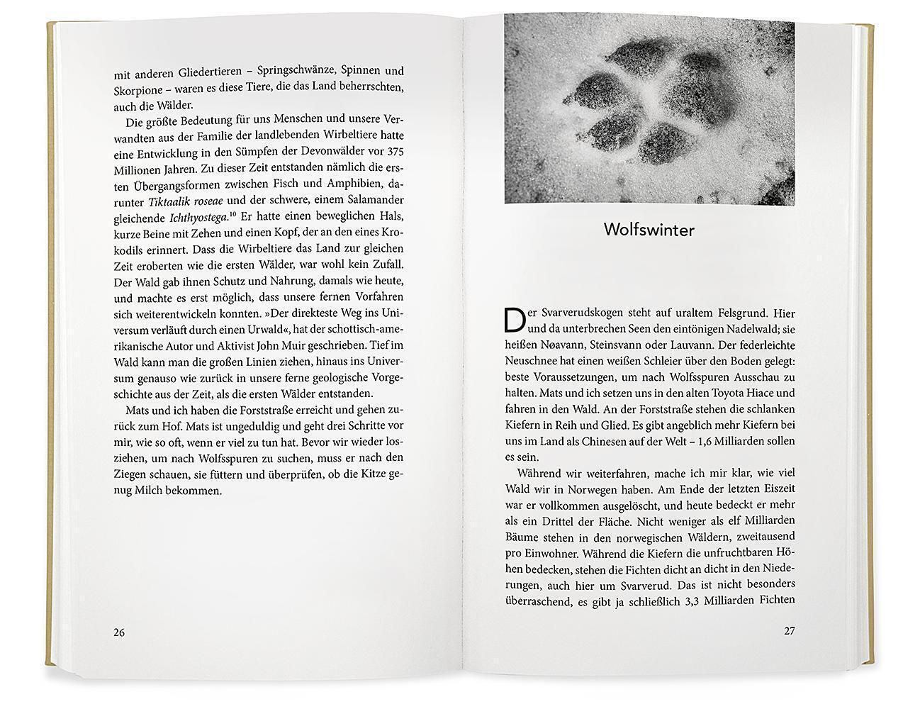 Bild: 9783426277966 | Wolfsspur | Eine Entdeckungsreise in die Tiefen unserer Wälder | Buch