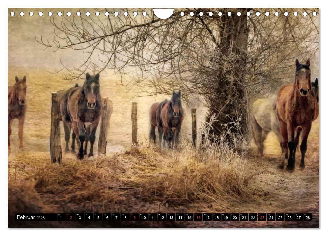 Bild: 9783435490424 | Western-Feeling (Wandkalender 2025 DIN A4 quer), CALVENDO...