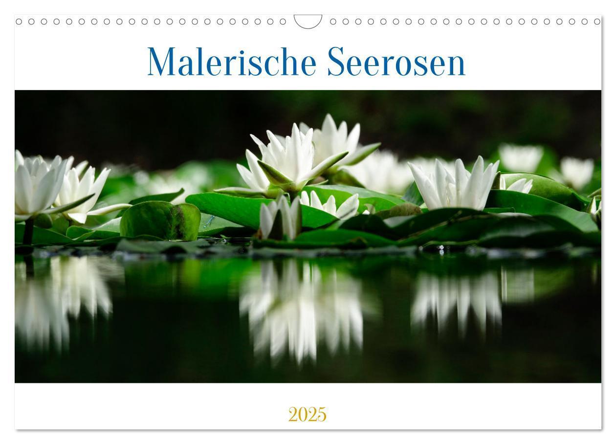 Cover: 9783383914140 | Malerische Seerosen (Wandkalender 2025 DIN A3 quer), CALVENDO...