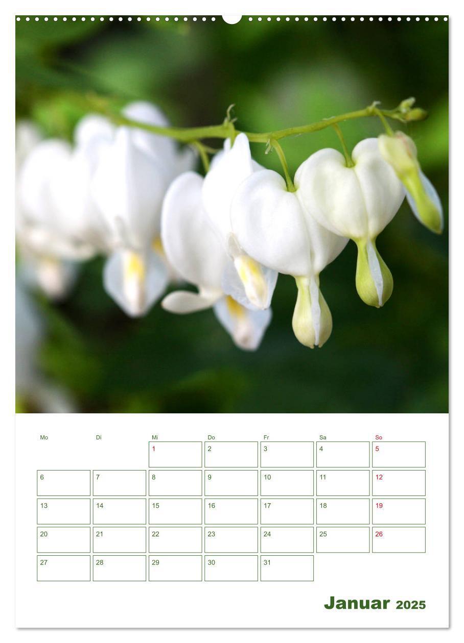 Bild: 9783435965038 | Weiße Blüten im Grünen (Wandkalender 2025 DIN A2 hoch), CALVENDO...