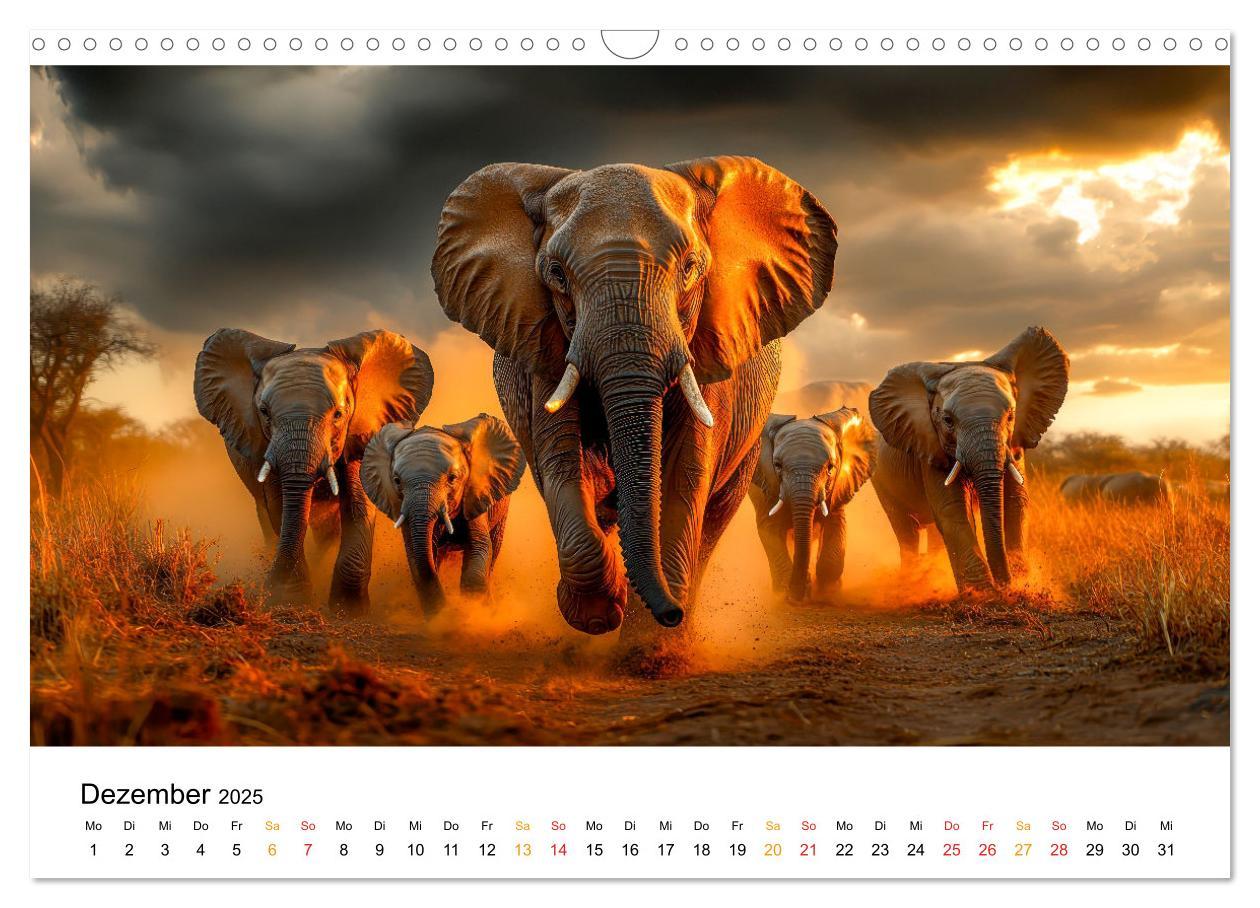 Bild: 9783457240472 | Elefanten - Riesen der Wildnis (Wandkalender 2025 DIN A3 quer),...