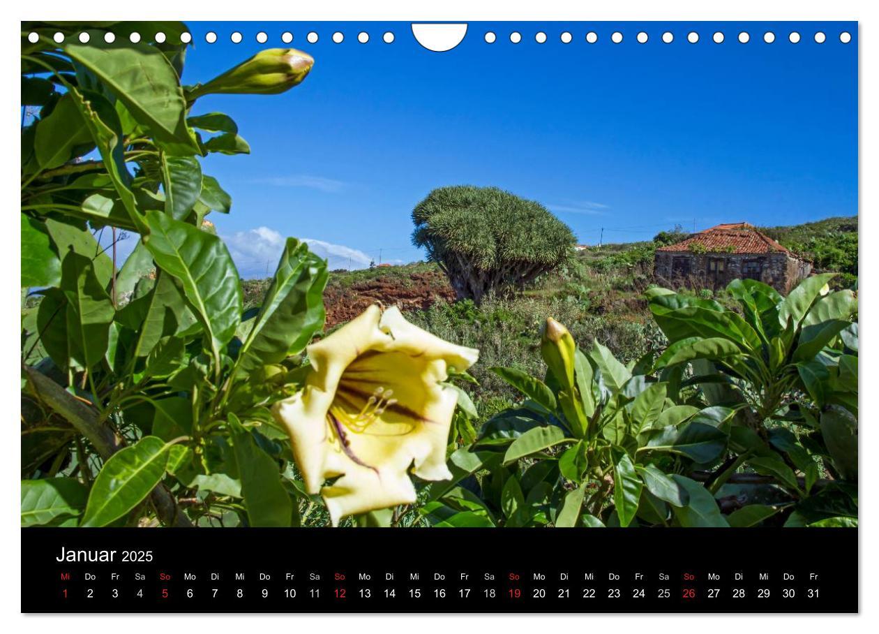 Bild: 9783435686568 | La Palma - die grüne Insel (Wandkalender 2025 DIN A4 quer),...