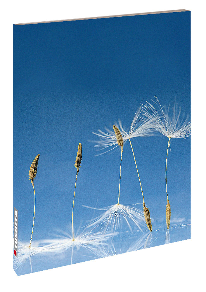 Cover: 9783960132370 | Dandelion | Blankbook | Tushita-Verlag | Buch | 144 S. | Deutsch