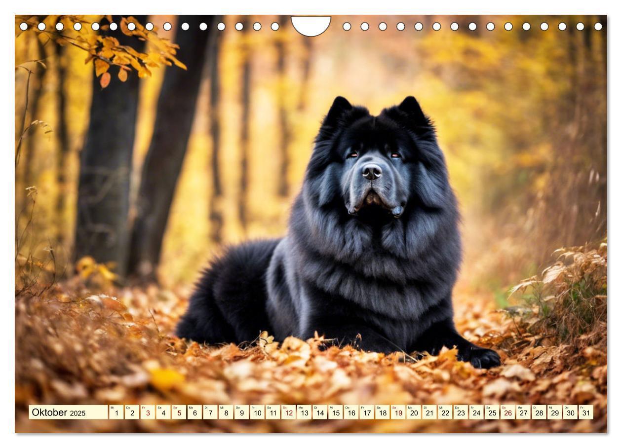 Bild: 9783457015513 | Chow Chow - der Löwenkopfhund (Wandkalender 2025 DIN A4 quer),...