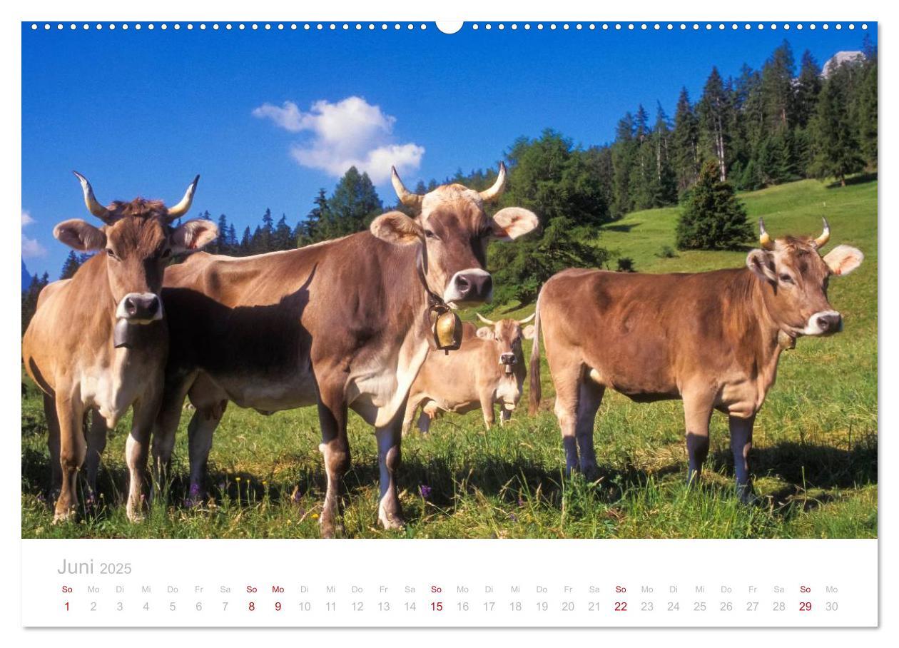 Bild: 9783435773015 | Graubünden Engadin 2025 (hochwertiger Premium Wandkalender 2025 DIN...