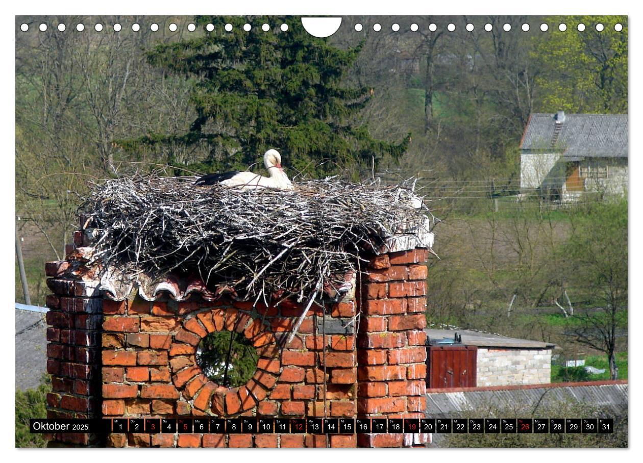 Bild: 9783435217083 | Im Paradies der Störche - Dorfkirchen als Storchkirchen in...