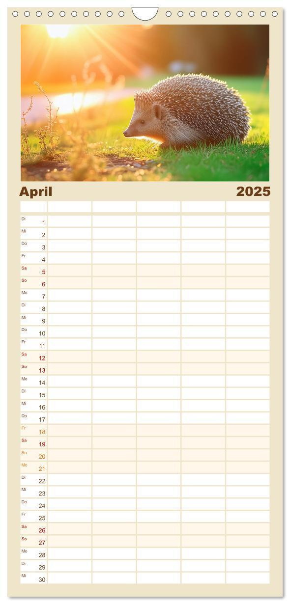 Bild: 9783457193037 | Familienplaner 2025 - Mein Igel-Kalender mit 5 Spalten...