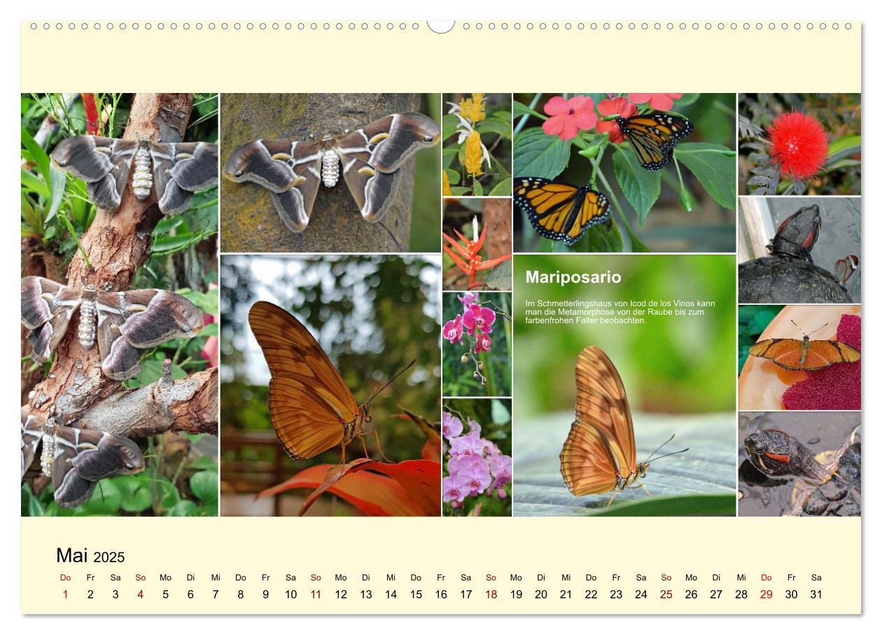 Bild: 9783435005550 | Zauberhaftes Teneriffa (Wandkalender 2025 DIN A2 quer), CALVENDO...