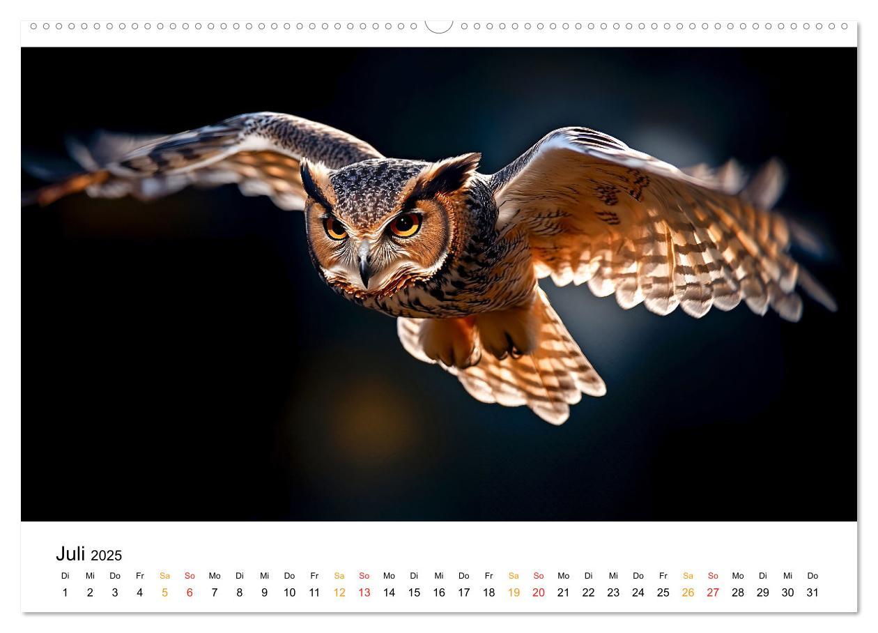 Bild: 9783457232729 | Im Reich der Eulen (Wandkalender 2025 DIN A2 quer), CALVENDO...