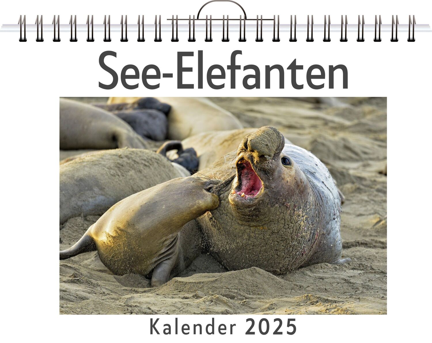 Cover: 9783759131706 | See-Elefanten | Luisa Schwarz | Kalender | Kalender | 14 S. | Deutsch