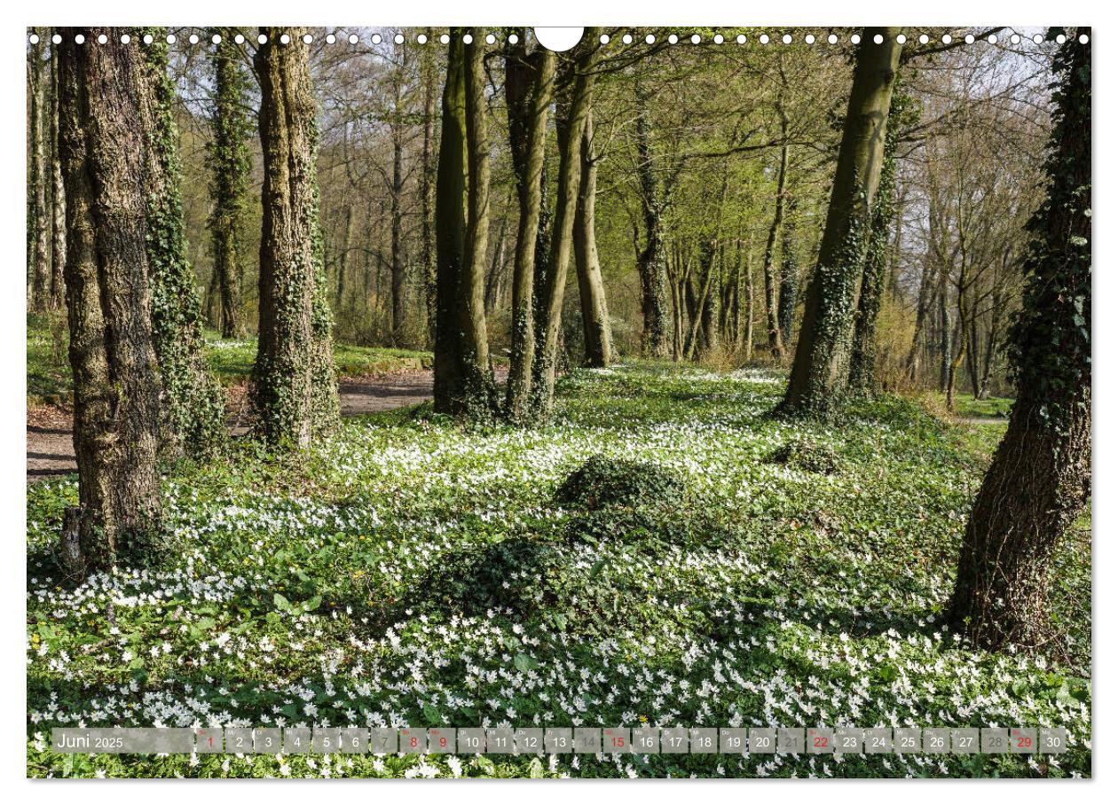 Bild: 9783435315277 | Münsterland - Vielfältige Schönheit (Wandkalender 2025 DIN A3...