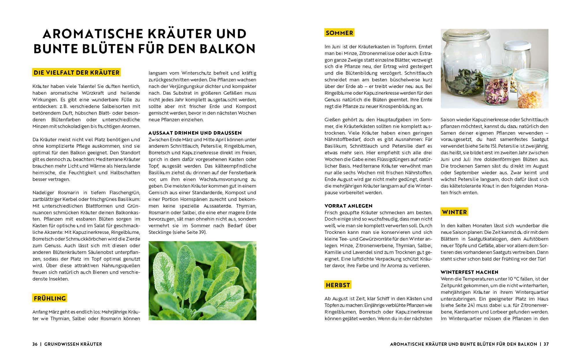 Bild: 9783745919172 | Gartenmomente: Balkongarten | Nadja Buchczik (u. a.) | Buch | 64 S.